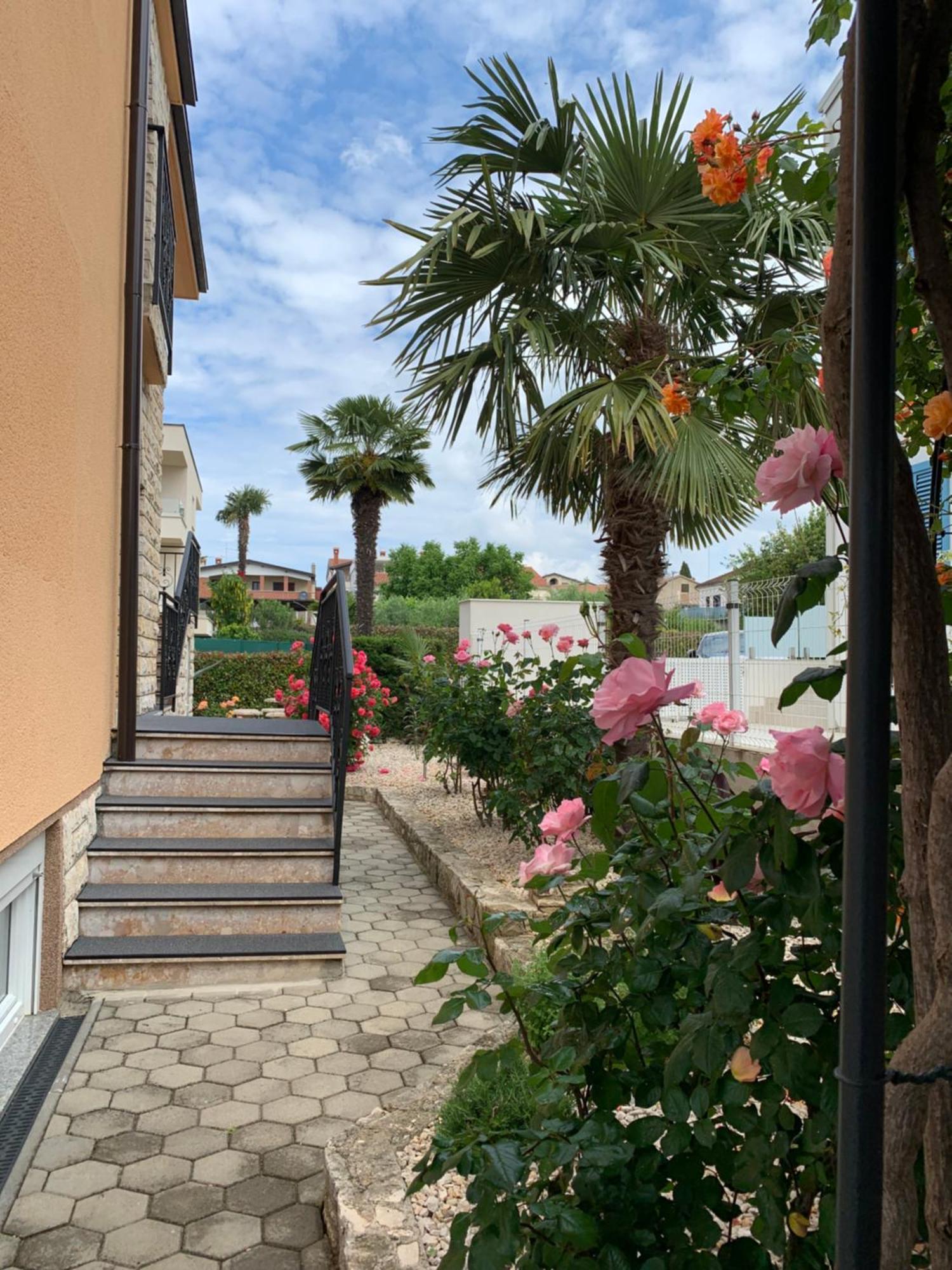 Apartments Kivi Novigrad Istria Exterior foto